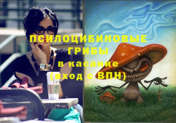 метадон Алексин