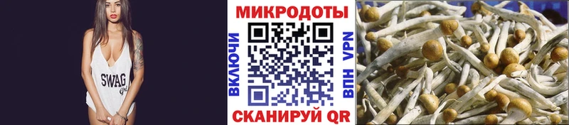 Псилоцибиновые грибы Psilocybe  МЕГА онион  Суоярви  даркнет сайт 